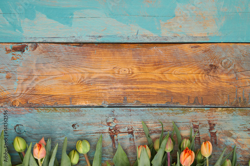 Fototapeta Naklejka Na Ścianę i Meble -  Tulips on colorful wooden background, place for text
