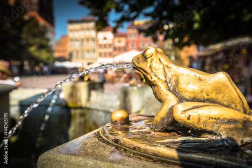 Bronze gilded frog sculpture pouring water, detail of a fountain in Torun, Poland.