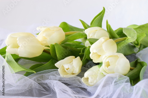 White tulips on a white light cloth. Wedding concept. Love photo