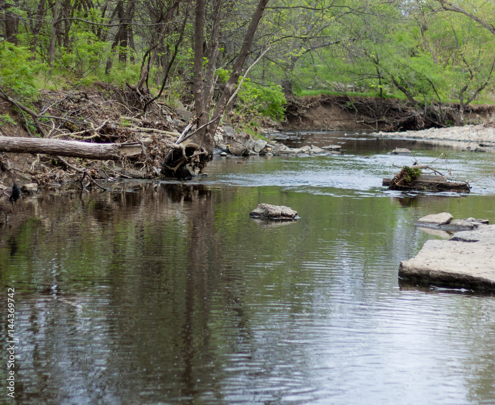 Fototapeta premium Stream and Log