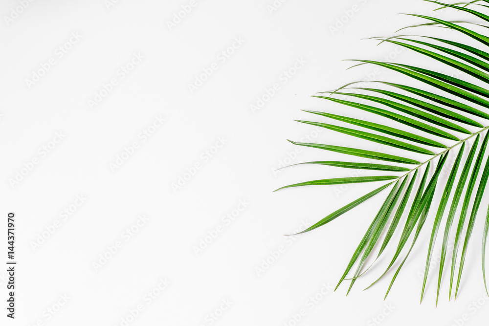 Naklejka premium spring with morden herbal mockup on white background top view
