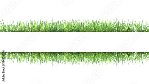 Grass frame. Summer fresh green grass borders on white. Natural vector background 