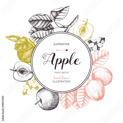 Vintage card design with apple fruits sketch.