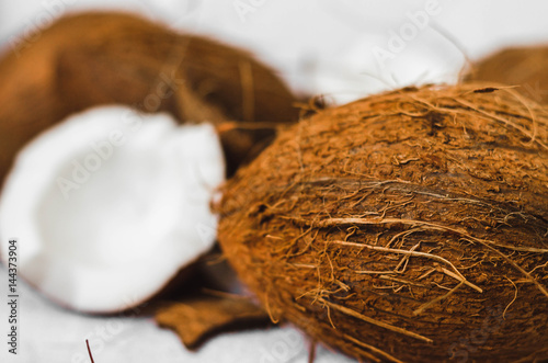 close up of a coconut on a white background.