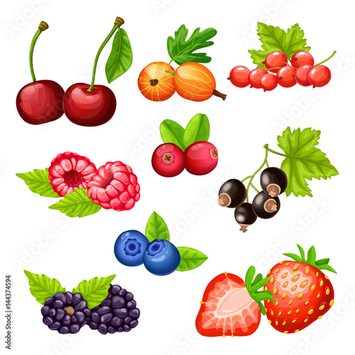 Colorful Cartoon Berries Icons Collection