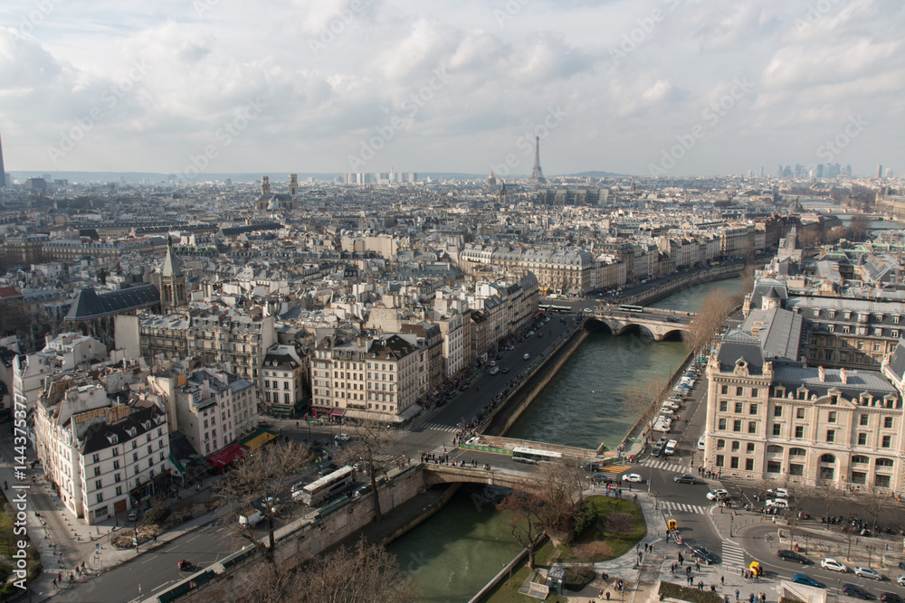 Vue de Paris depuis les tours de Notre-Dame