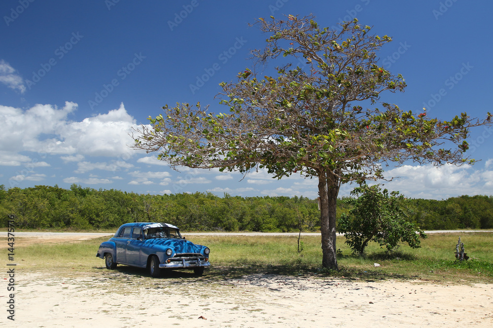 Fototapeta premium Blue oldtimer car in Cuba