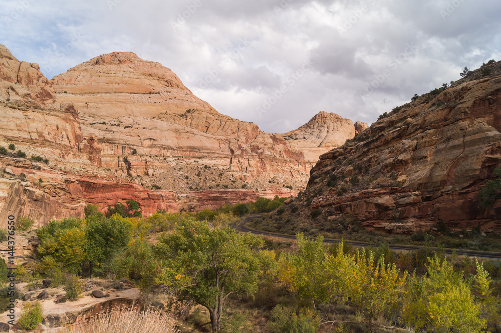 Lanscape with  highway 24 through the Capitol Reef national Park, on a trail to Hickman bridge; Utah; USA