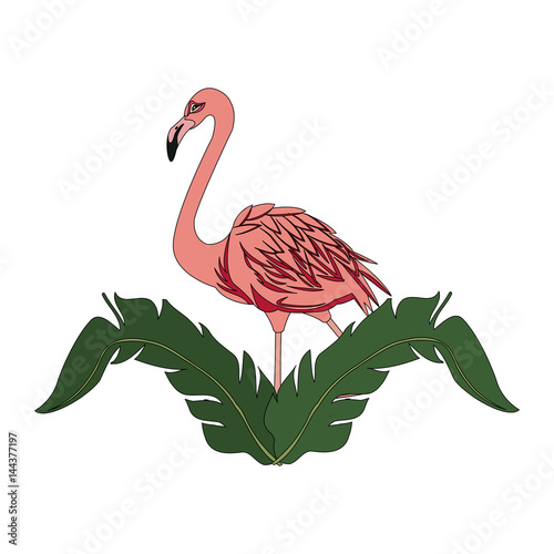 flamingo bird icon image vector illustration design 