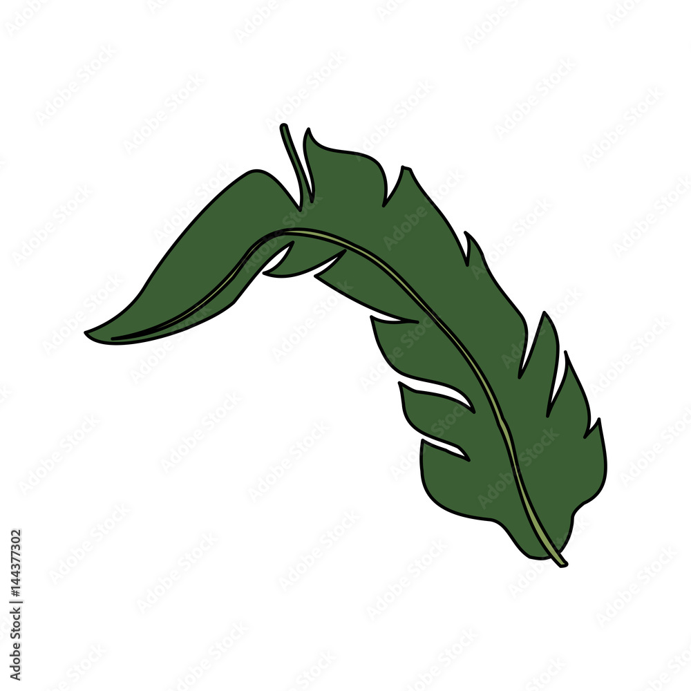 single tropical leaf icon image vector illustration design 