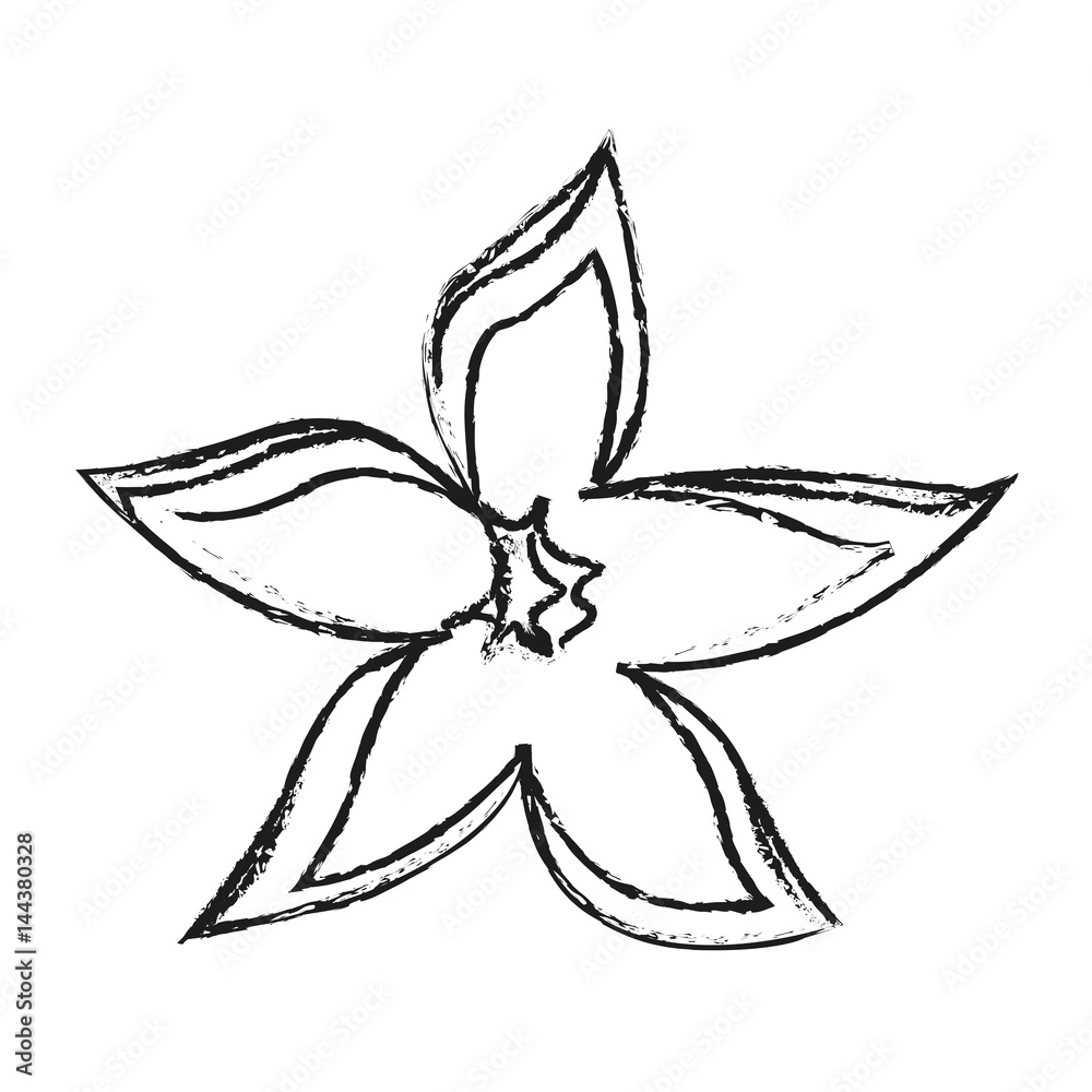 delicate flower icon image vector illustration design 