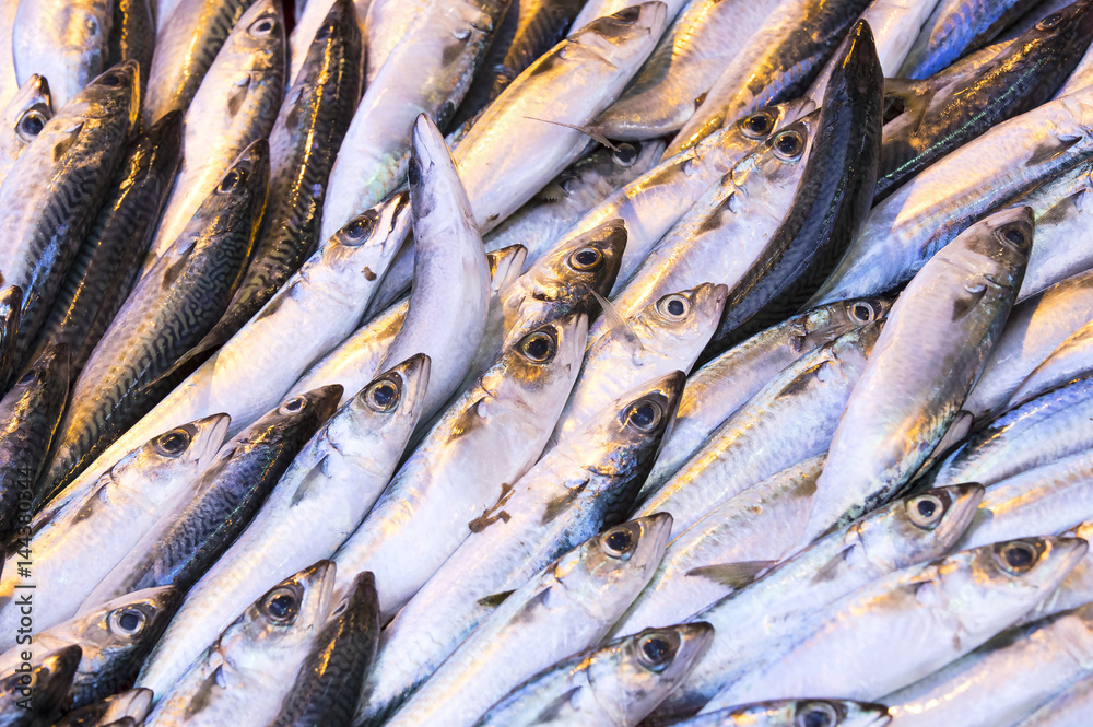 Fototapeta premium Background of sea fish close-up on the market in the port
