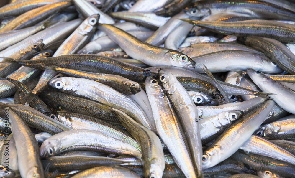 Fototapeta premium Background of sea fish close-up on the market in the port