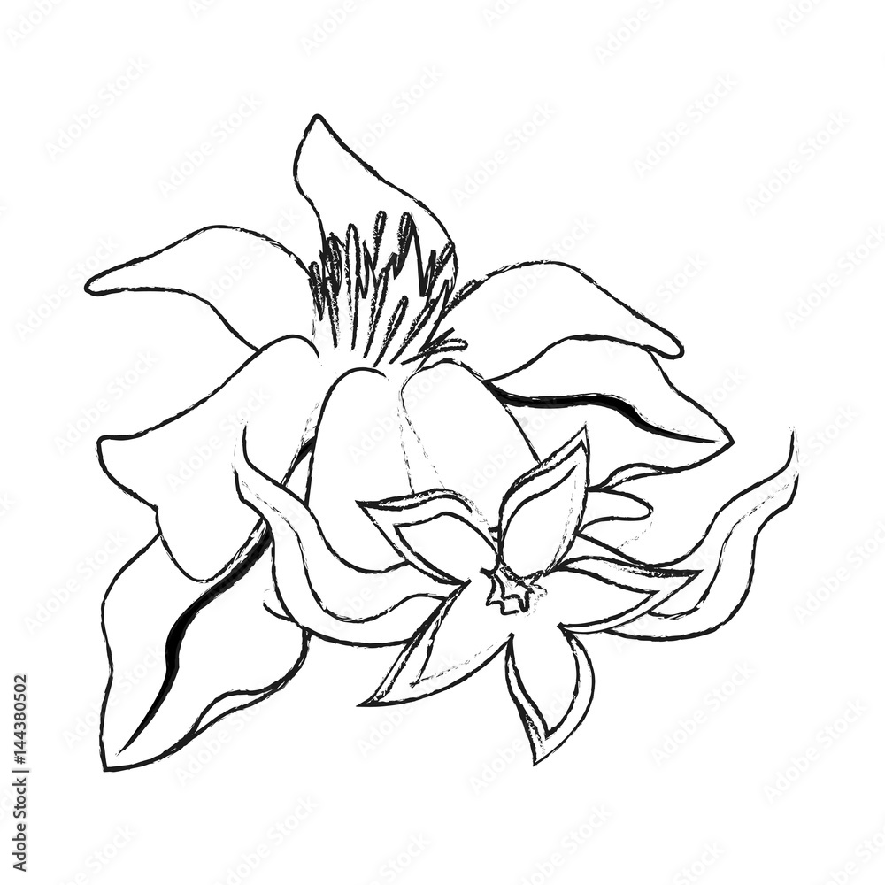 delicate flower icon image vector illustration design delicate flower icon image vector illustration design