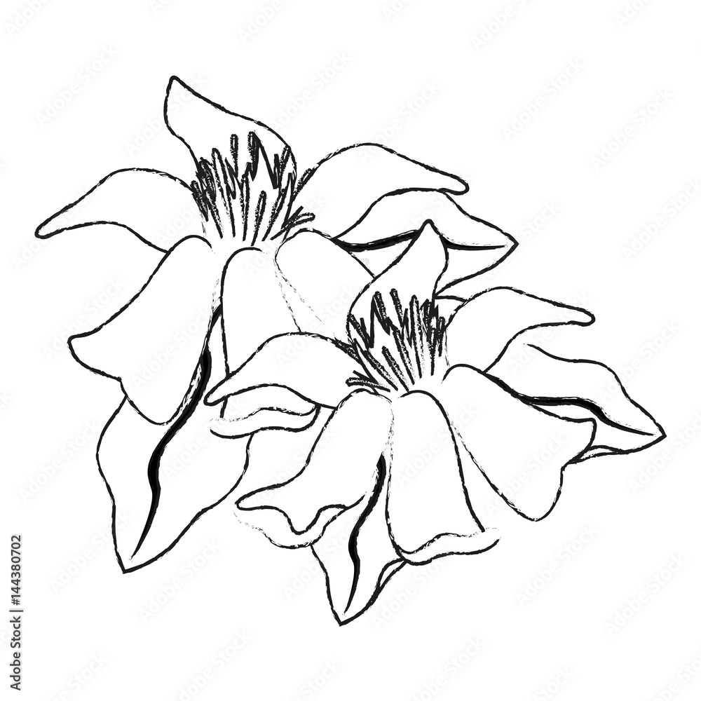 delicate flower icon image vector illustration design 