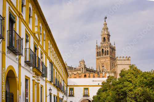 Giralda the bell tower of the Cathedral of Seville view from Patio des Banderas orange trees full of ripe fruits in the right 