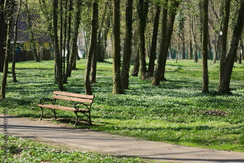 Wiosna w parku.