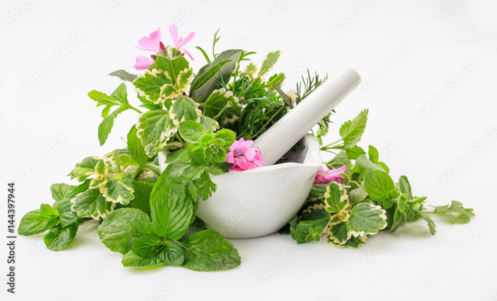 Herbs in a mortar on white background