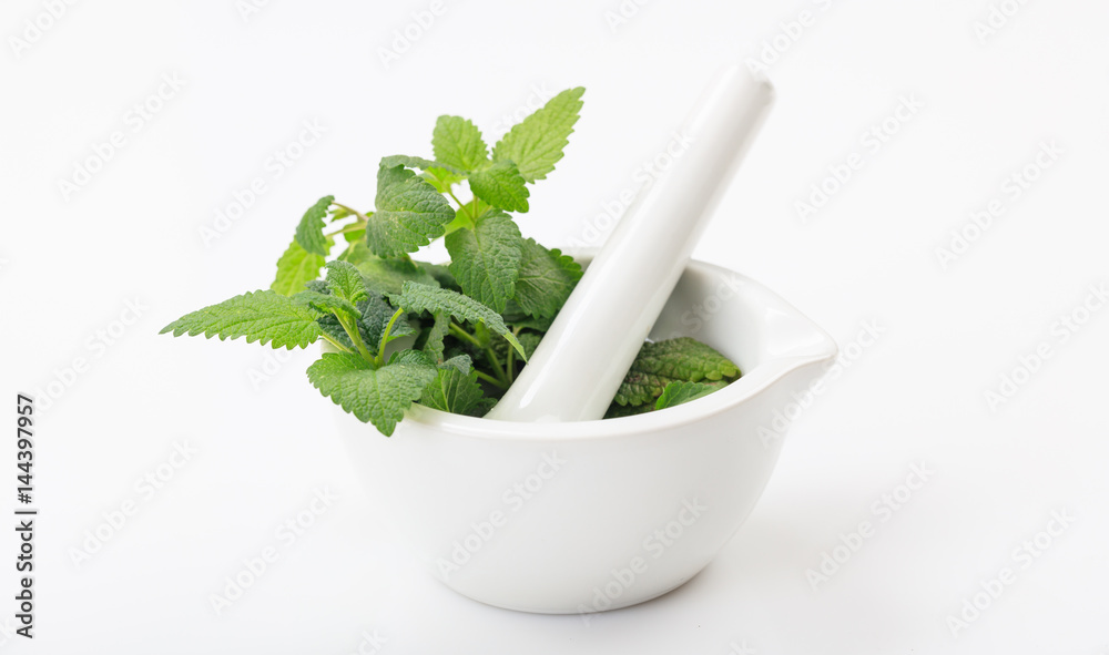Mint in a mortar on white background