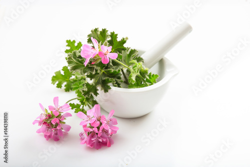 Alternative medicine concept - Citronella in a mortar on white background