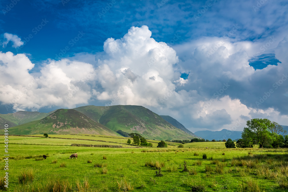 Fototapeta premium Green meadow and mountain in District Lake, England