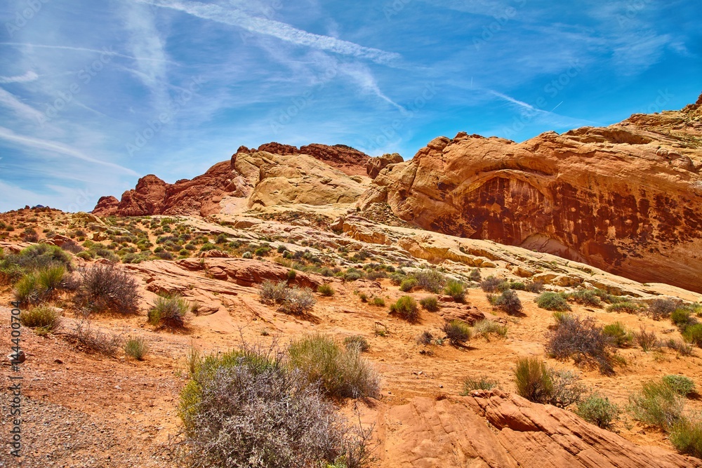 Fototapeta premium Incredibly beautiful landscape in Southern Nevada, Valley of Fire State Park, USA.