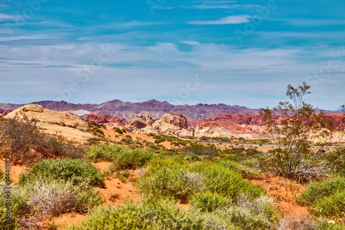 Incredibly beautiful landscape in Southern Nevada  Valley of Fire State Park  USA.