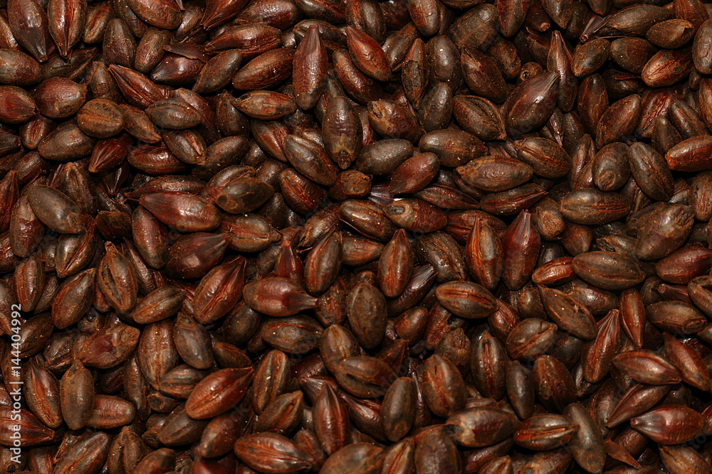 Chocolate Malted Barley Chocolate Malted Barley