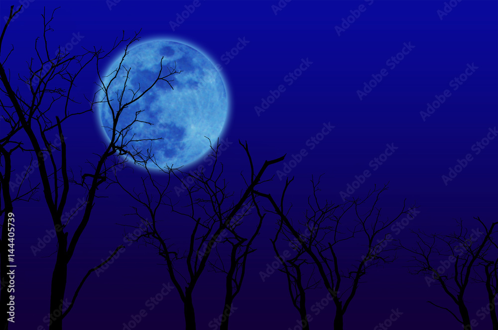 Naklejka Trees group full moon