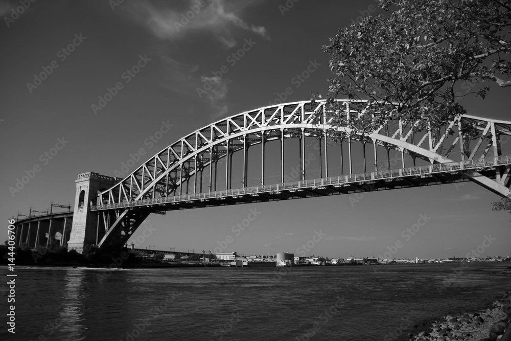 Obraz premium The Hell Gate Bridge over the river and branches in black and white style, New York