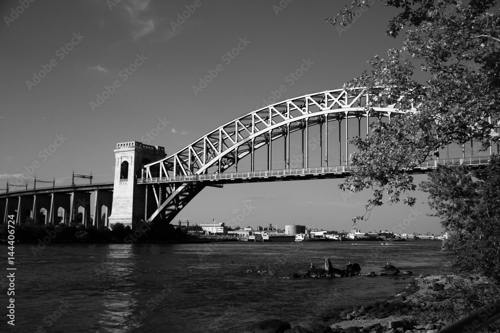 The Hell Gate Bridge behind the branches in black and white style, New York