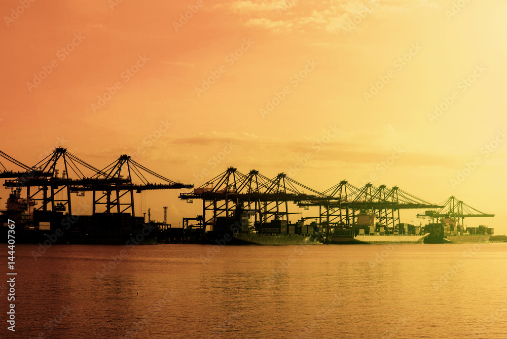 Fototapeta premium Containers loading by crane in the morning, Trade Port, Shipping