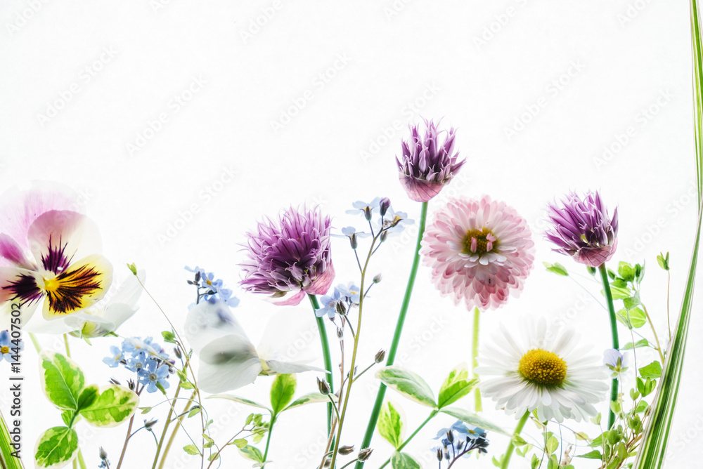 Fototapeta premium summer flowers