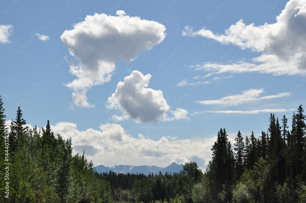 Alaska Sky