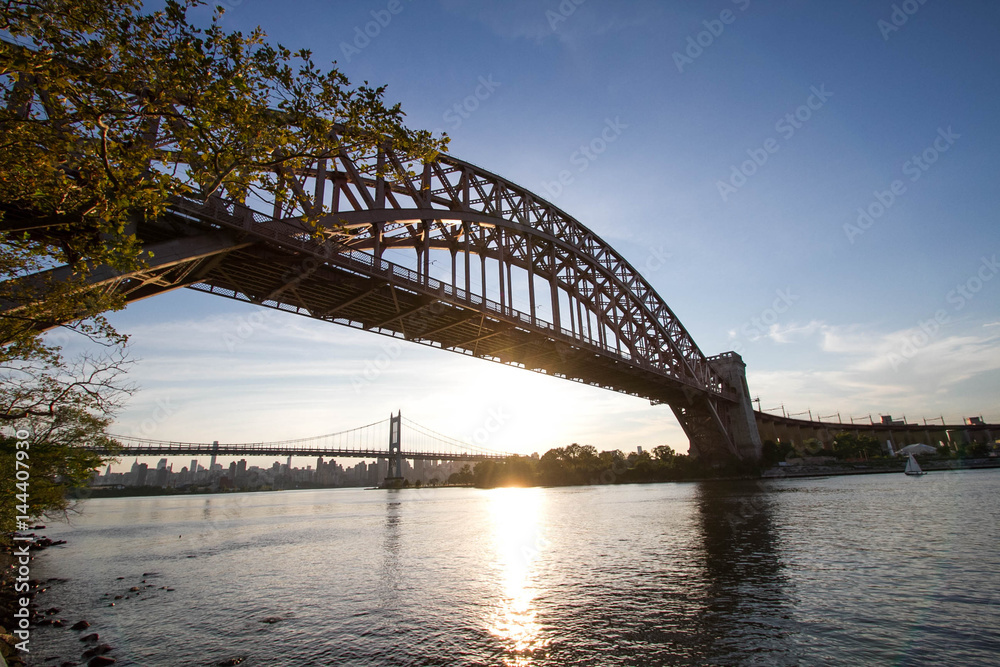 Branches and Hell Gate Bridge and Triborough bridge with sunset, New York