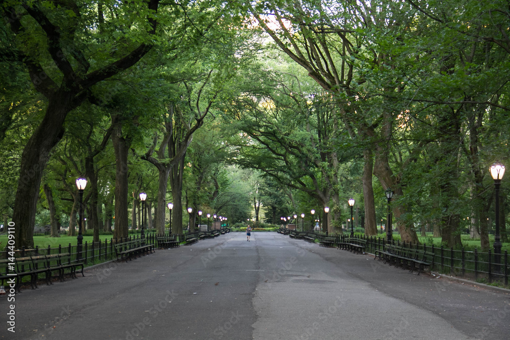 Walkway at Central Park around trees in summer, New York