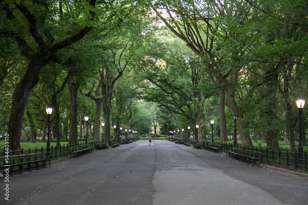 Walkway at Central Park around trees in summer, New York Walkway at Central Park around trees in summer, New York