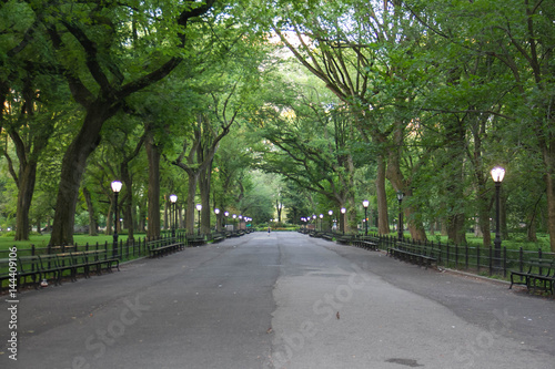 Walkway and light pole at Central Park around with trees in summer, New York