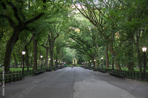 Fototapeta Naklejka Na Ścianę i Meble -  Walkway at Central Park around trees in summer, New York