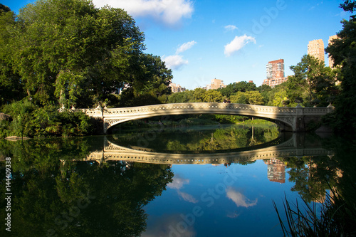 Bow bridge and trees reflect on water at Central Park with blue sky