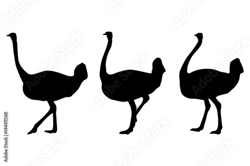 Ostrich black silhouettes - walking and standing