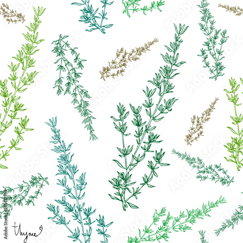 thyme plant seamless pattern