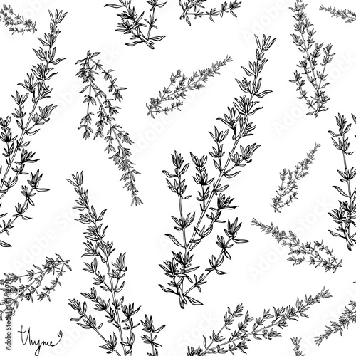 Obraz na plátně thyme plant seamless pattern