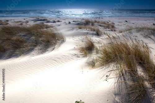 Fototapeta Naklejka Na Ścianę i Meble -  White dunes of Sao Jacinto, Aveiro, Portugal. Pt.IV