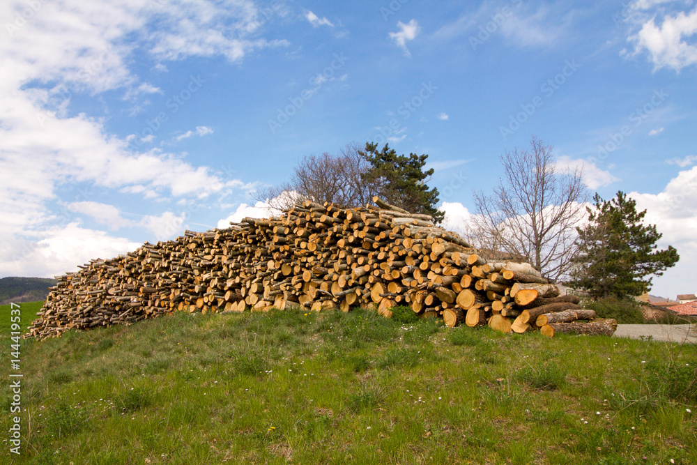 woodpile in emilia romagna hills on blue sky in aspring day