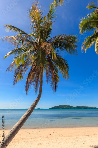 Coconut tree on the beach and sea with clear blue sky. © Teeranon
