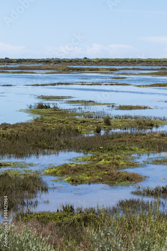 Beautiful marshlands © Mauro Rodrigues