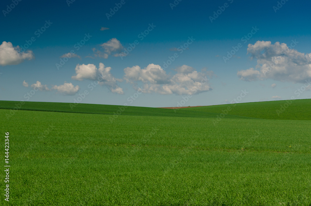 Nice cloudy day with green grass field