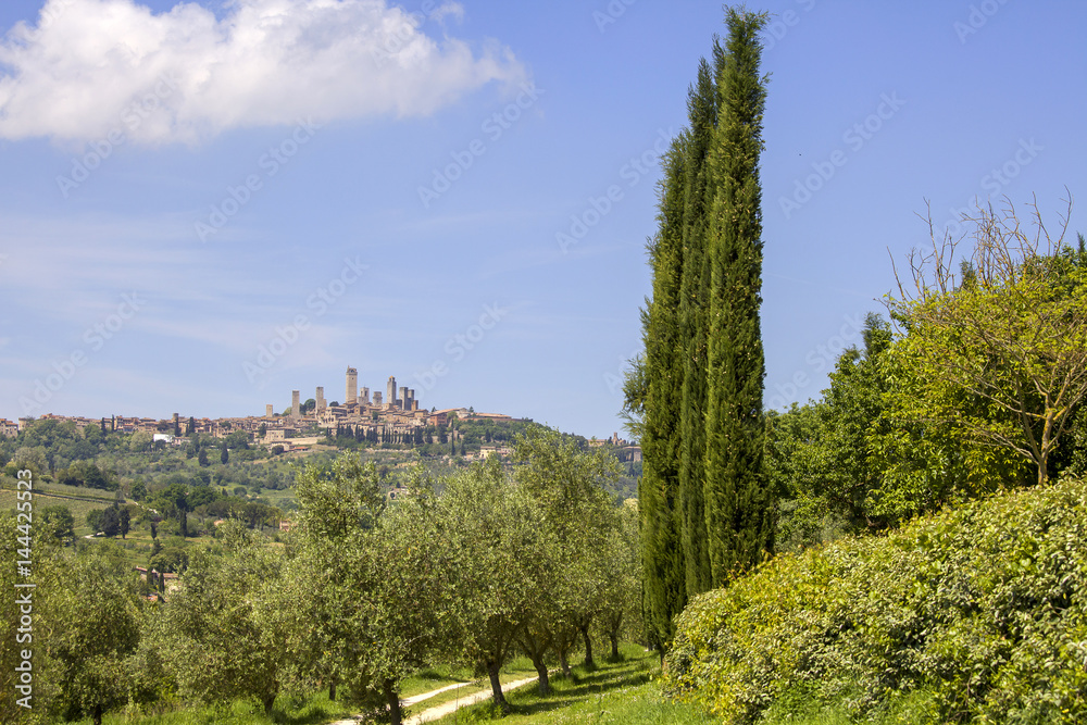 San Gimignano with vineyards