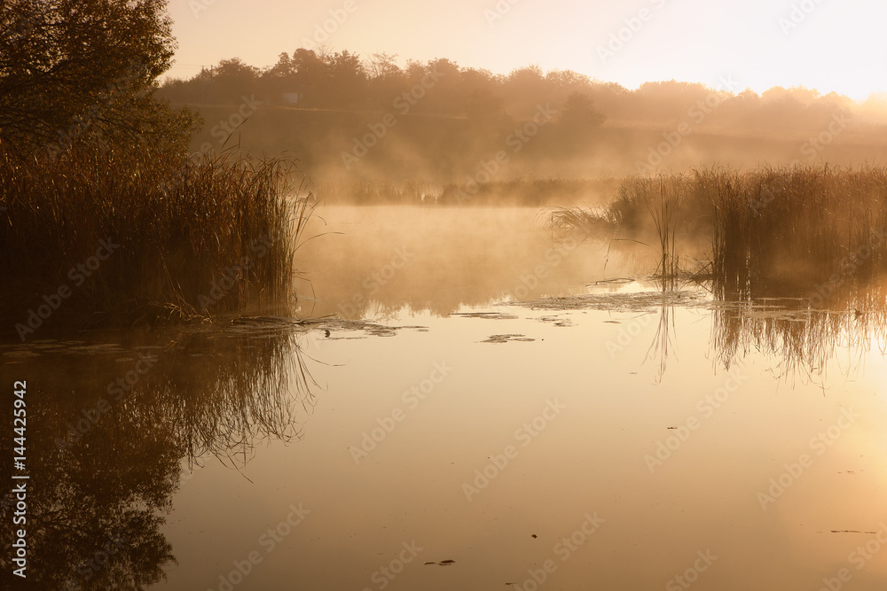 A misty morning by the lake. Space for text.
